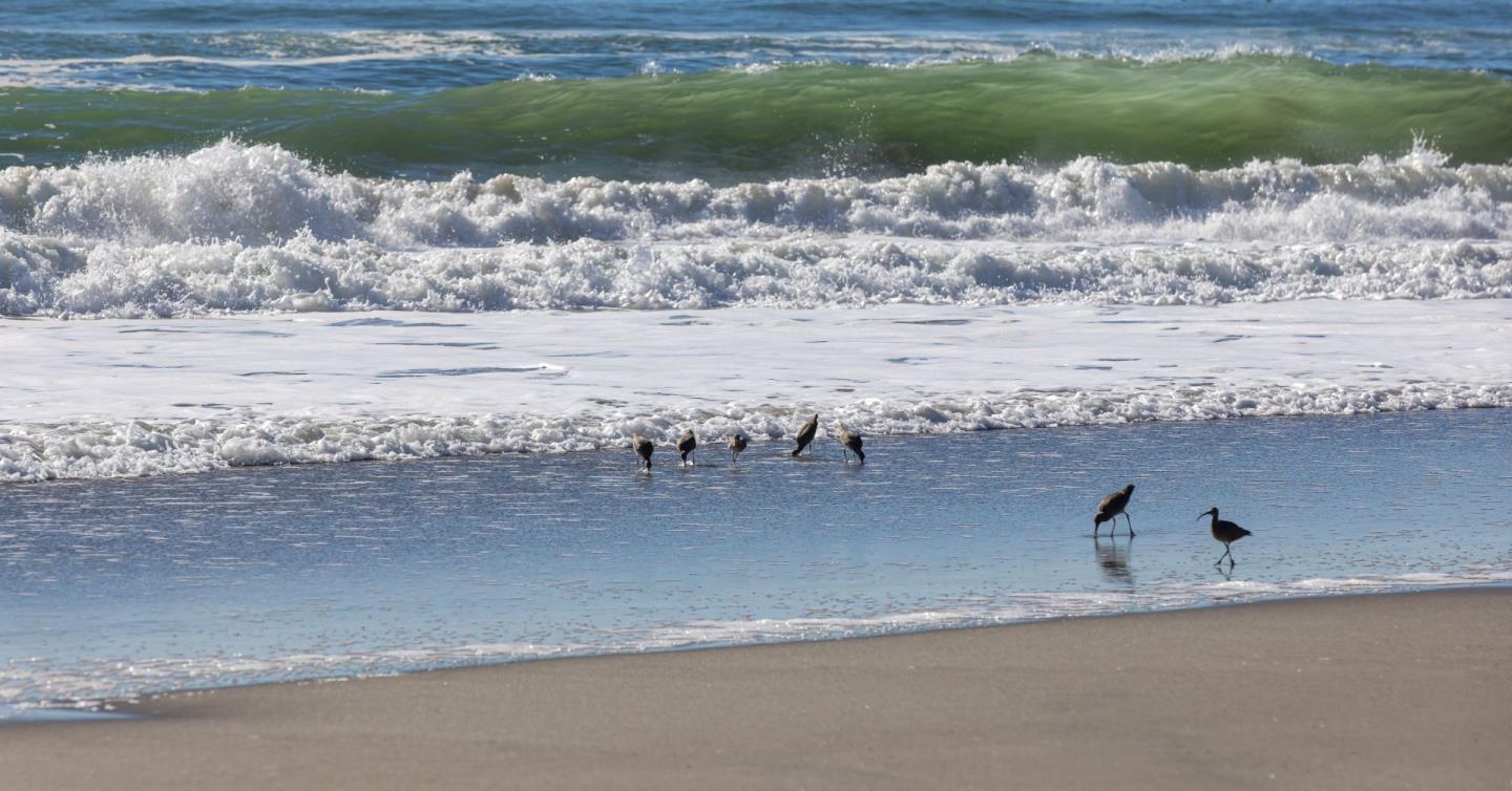 323 Los Altos Drive Aptos, CA 95003 - Photo 36 of 36 a close view of a sink
