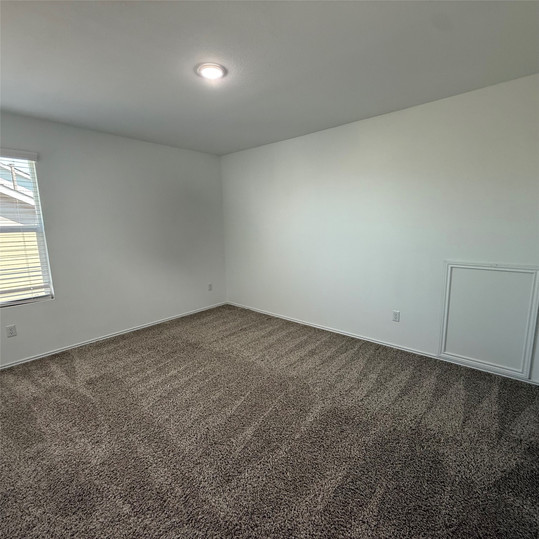 13711 Mussel Run Elgin, TX 78621 - Photo 24 of 31 Unfurnished room featuring dark colored carpet and baseboards