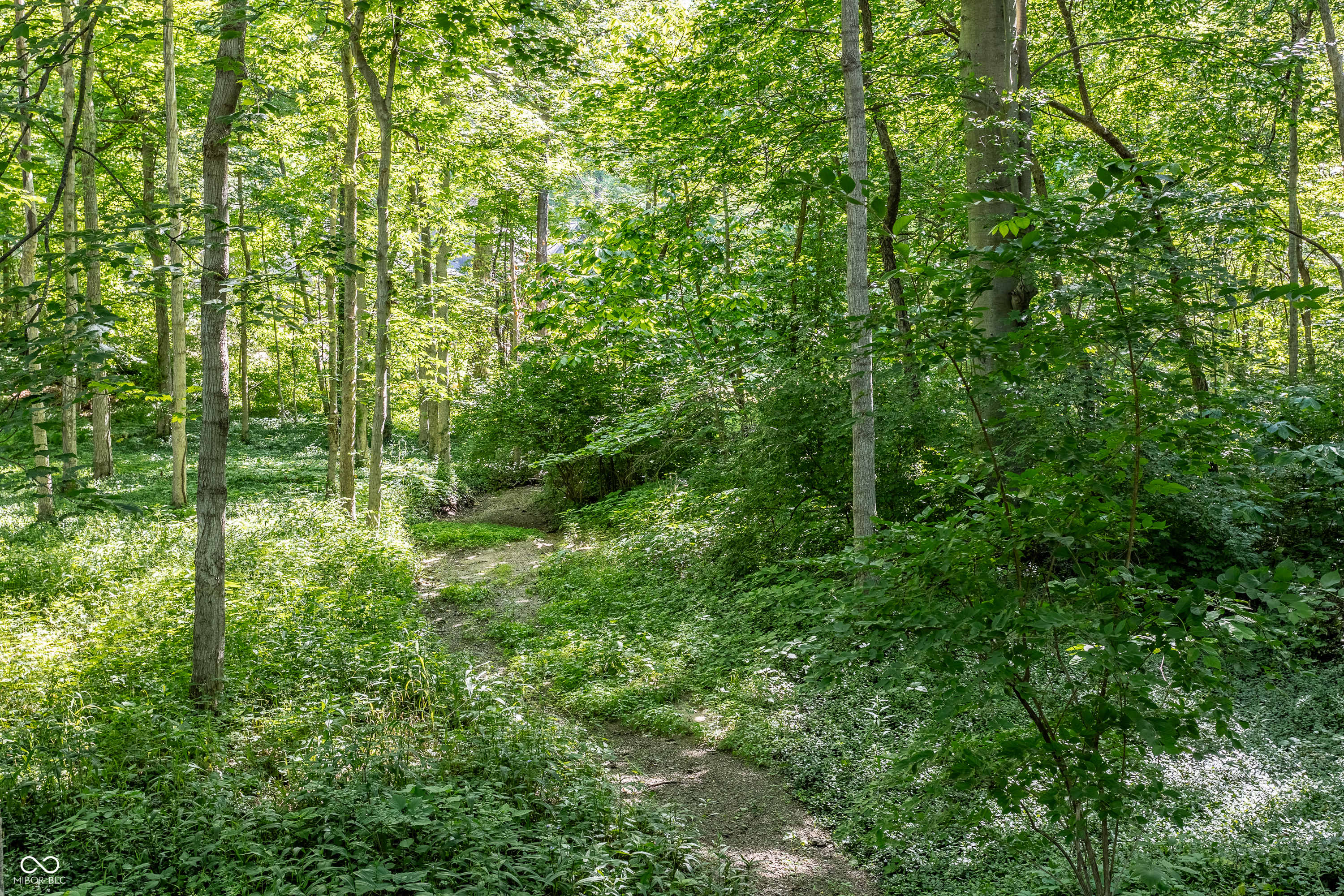 3860 Nesbitt Road Indianapolis, IN 46220 - Photo 68 of 70