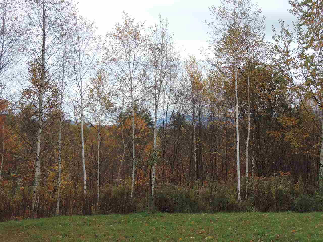 522 Ballard Farm Road Wells, VT 05774 - Photo 30 of 32 Gallery Image 30