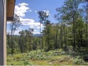 522 Ballard Farm Road Wells, VT 05774 - Photo 4 of 32 Gallery Image 4