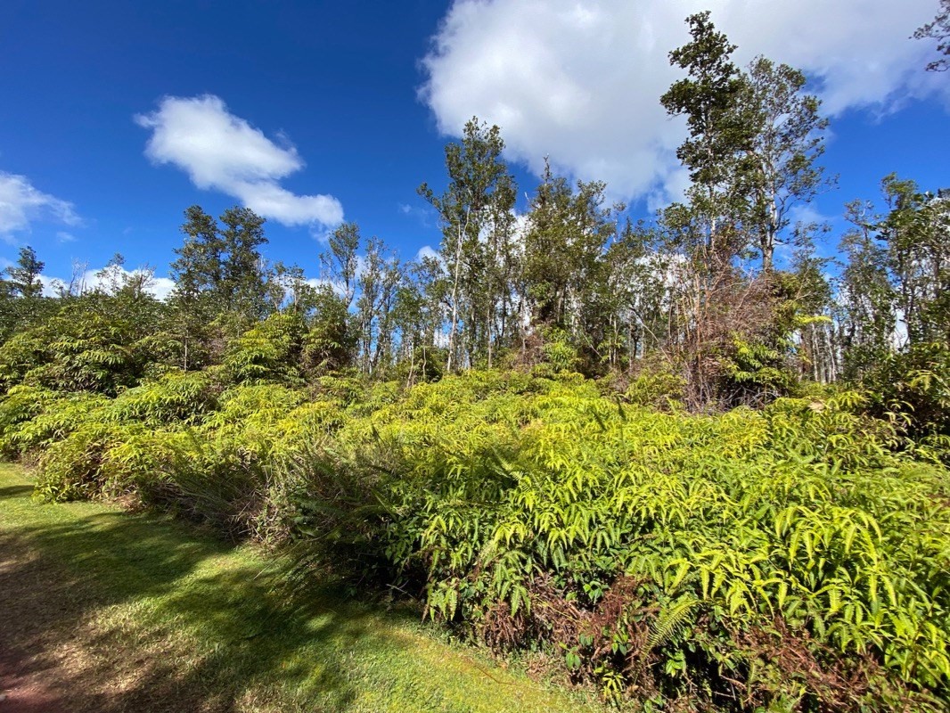 8549 Pahoehoe Road Mountain View, HI 96771 - Photo 2 of 12 Gallery Image 2