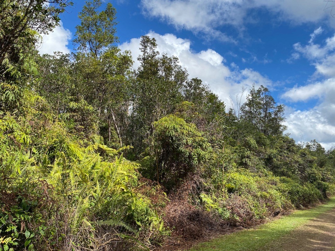 8549 Pahoehoe Road Mountain View, HI 96771 - Photo 8 of 12 Gallery Image 8