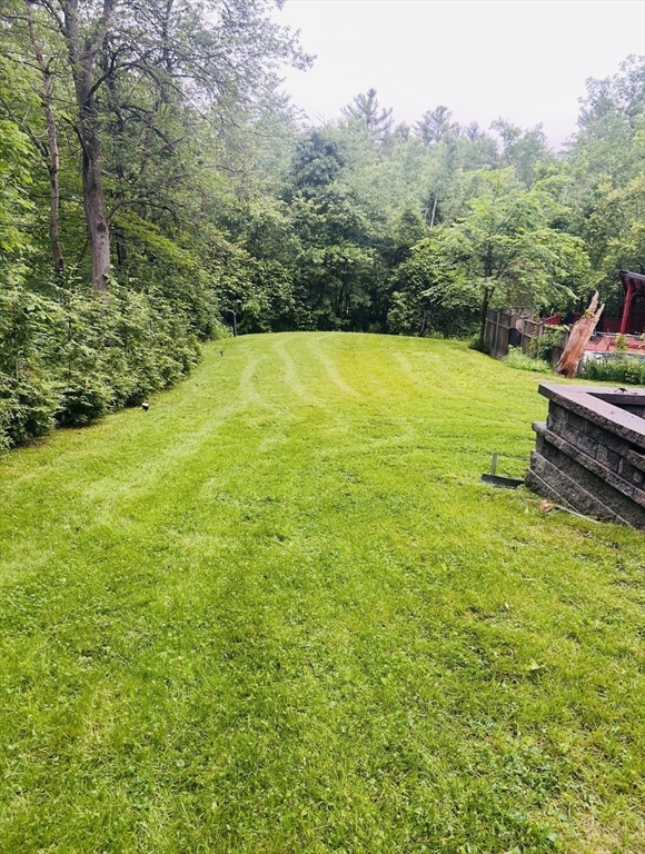 1081 Lowell Road Groton, MA 01450 - Photo 42 of 42 a view of a large yard with potted plants and large trees