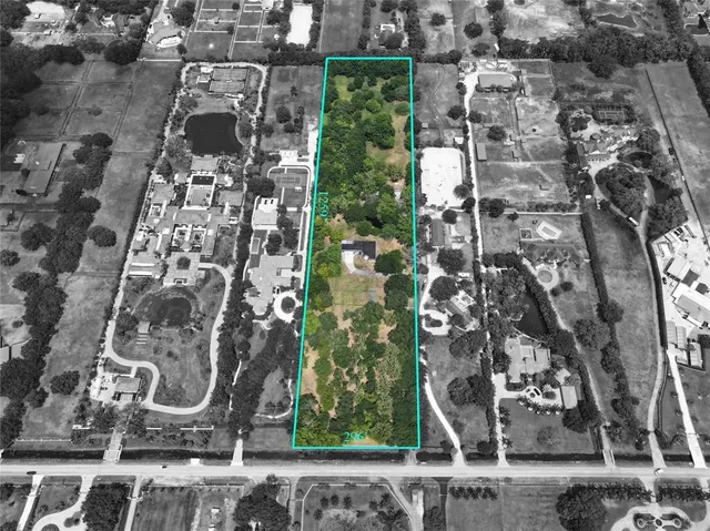 a view of a park with large trees