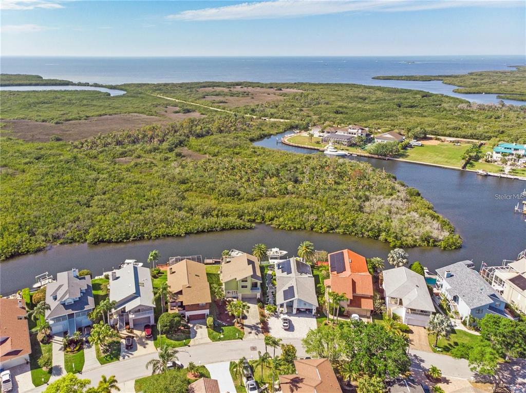 6321 Garland Court New Port Richey, FL 34652 - Photo 52 of 69