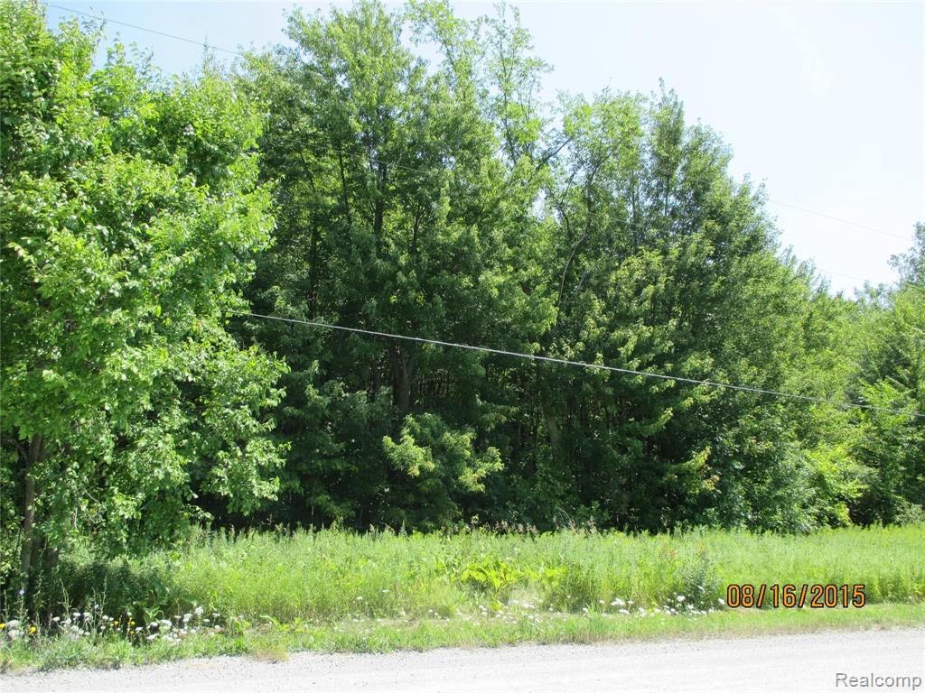 0 McKinley Road East China, MI 48054 - Photo 4 of 17