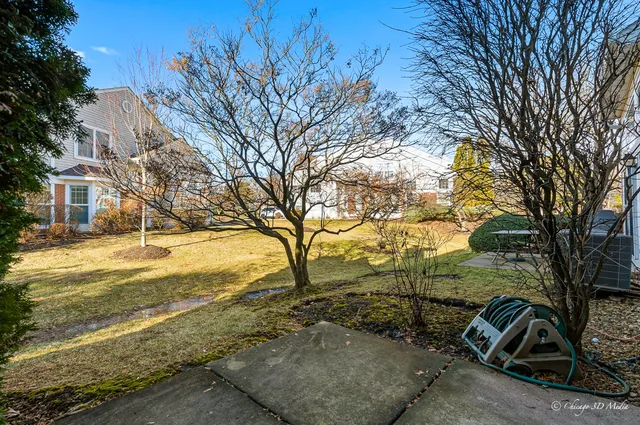 a view of a yard with a tree