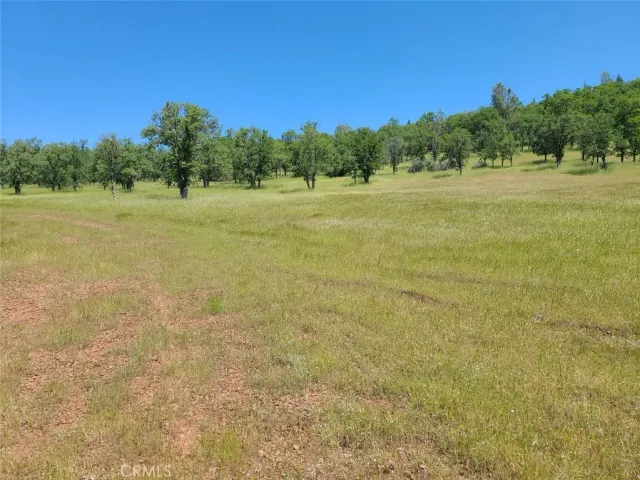 a view of a field with trees in the background