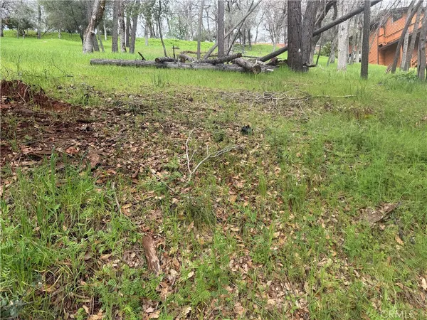 a view of backyard with green space