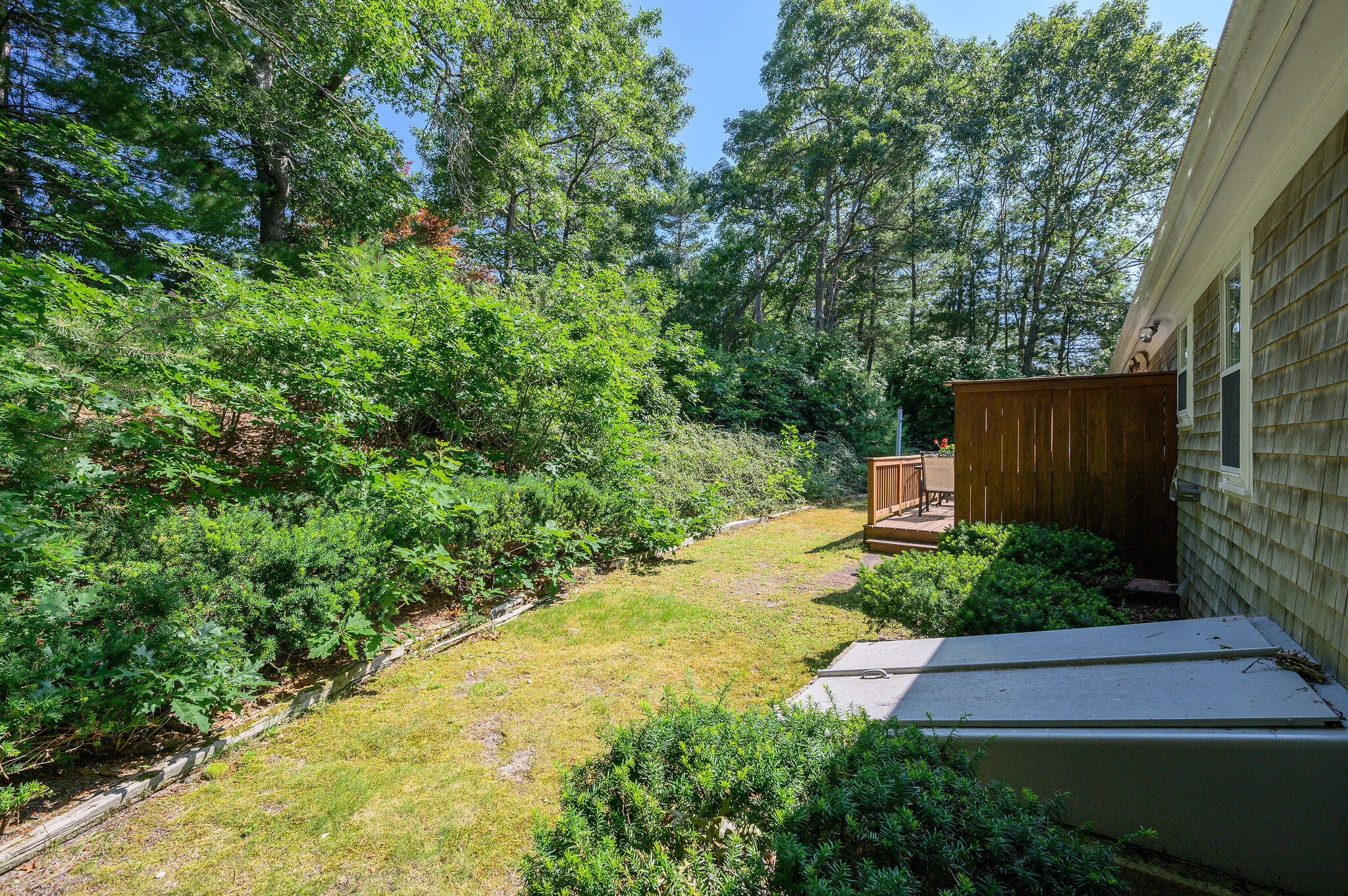 101 Oldham Road Osterville, MA 02655 - Photo 19 of 32 a backyard of a house with lots of green space