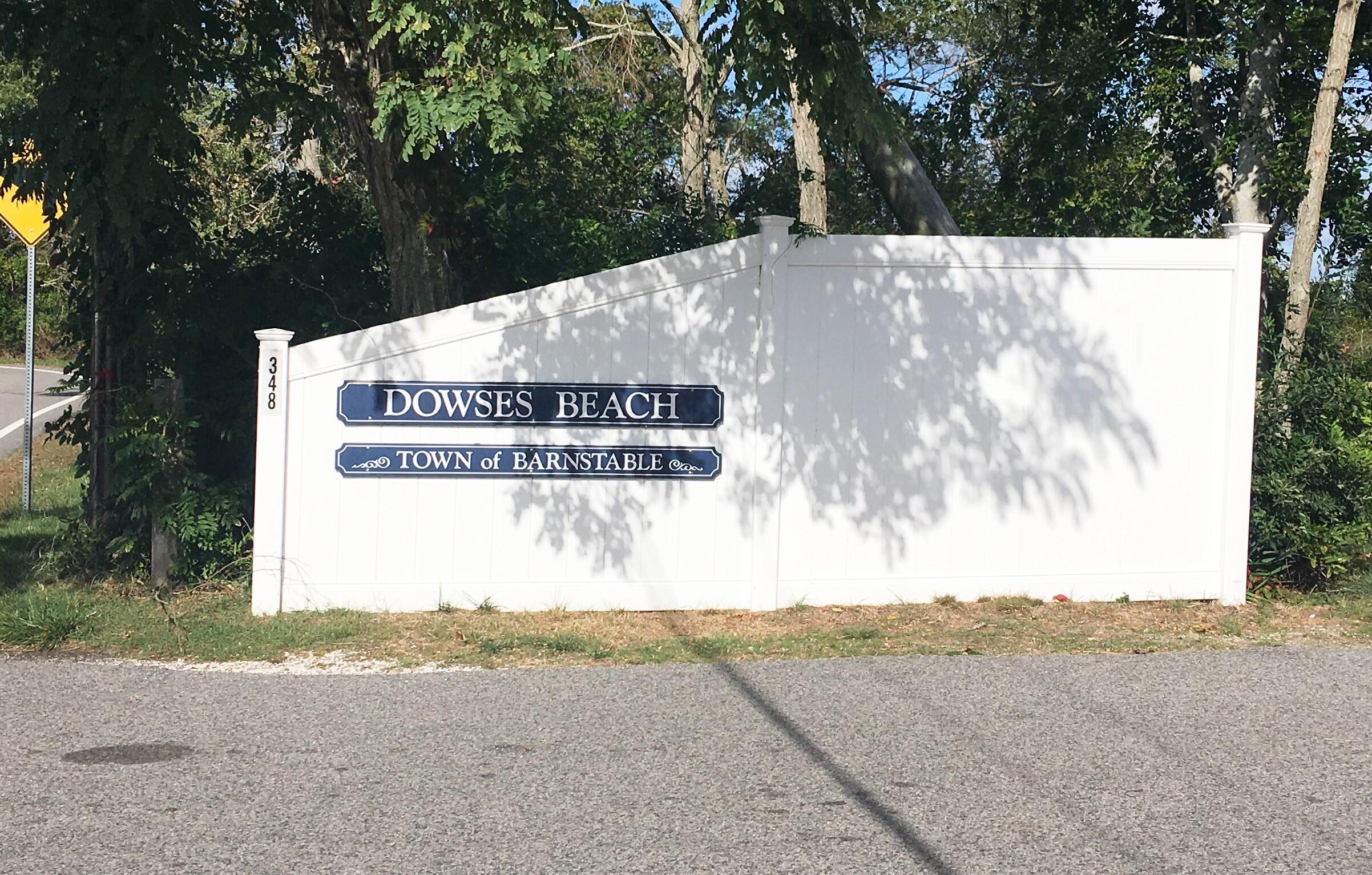 101 Oldham Road Osterville, MA 02655 - Photo 29 of 32 a view of backyard with tree