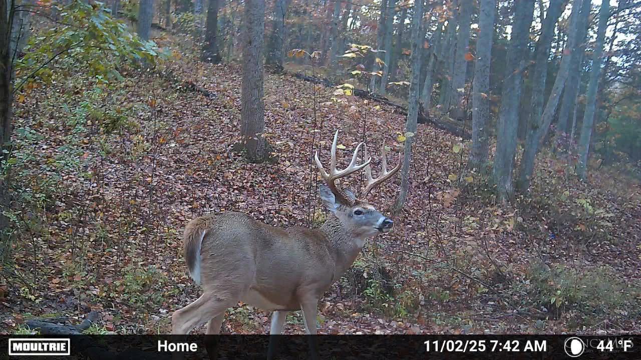 1025 Davis Road Peebles, OH 45660 - Photo 57 of 63