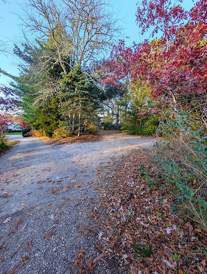 6 Cora Nickerson Road Harwich, MA 02645 - Photo 26 of 42 a view of a yard with a tree