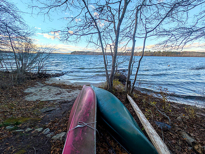 6 Cora Nickerson Road Harwich, MA 02645 - Photo 31 of 42 a view of a backyard with a tree