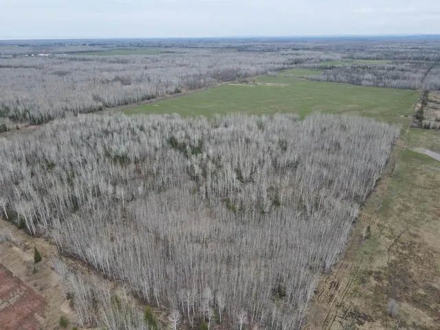 $839,900 | 11-tbd Gulley Road, Maple, WI 54854