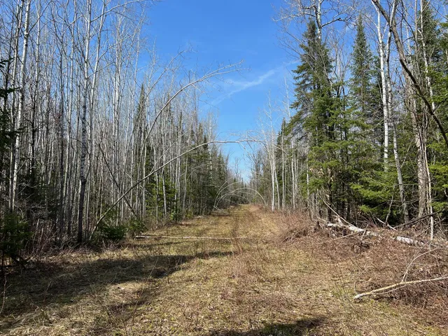 $839,900 | 11-tbd Gulley Road, Maple, WI 54854