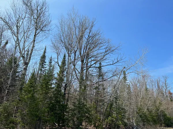 $839,900 | 11-tbd Gulley Road, Maple, WI 54854