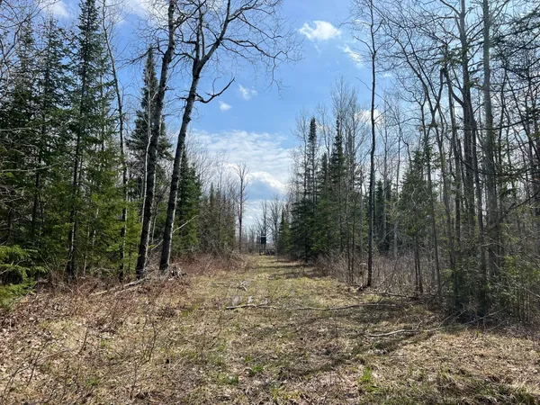 $839,900 | 11-tbd Gulley Road, Maple, WI 54854