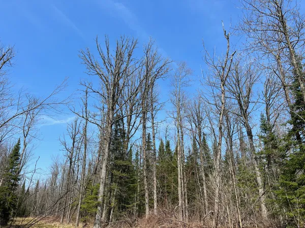 $839,900 | 11-tbd Gulley Road, Maple, WI 54854