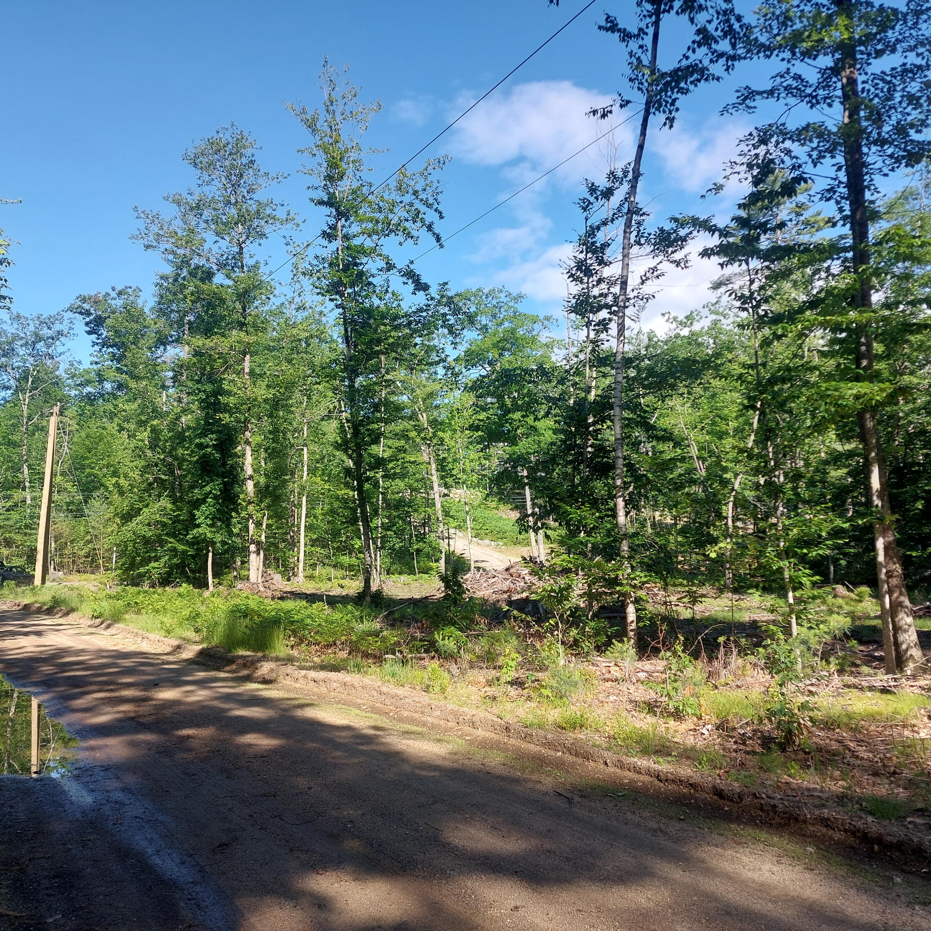 Lot 25 Sokokis Road Sebago, ME 04029 - Photo 19 of 29 20260619_084017