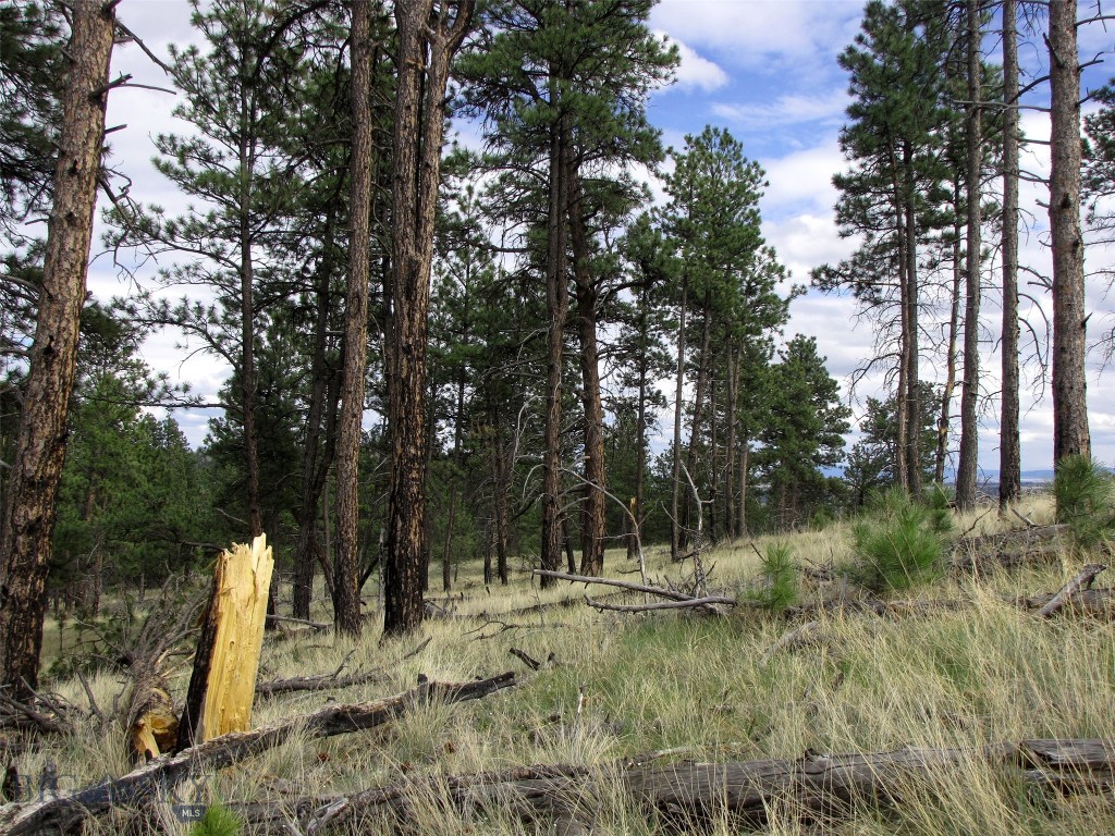 Tbd Tbd Wild Turkey Ridge Road Columbus, MT 59019 - Photo 13 of 55 Gallery Image 13