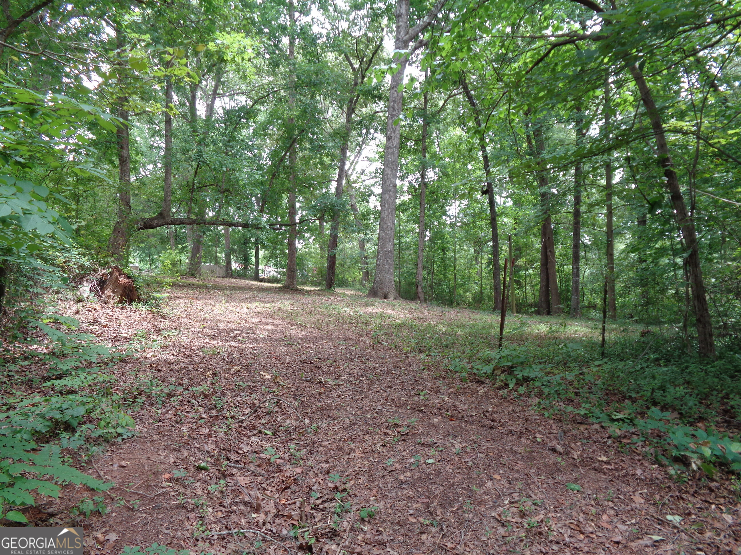 2411 Kesler Road Carnesville, GA 30521 - Photo 42 of 61 a view of a forest with trees in the background