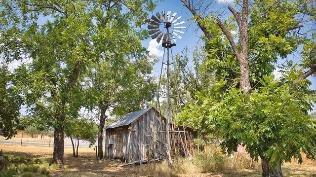 a view of a house with a tree