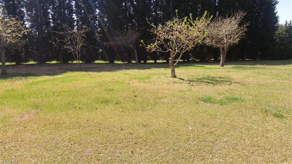 140 Maple Ridge Drive Mayodan, NC 27027 - Photo 4 of 22