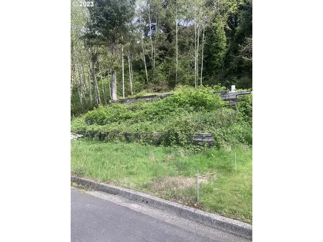 a view of a garden from a window