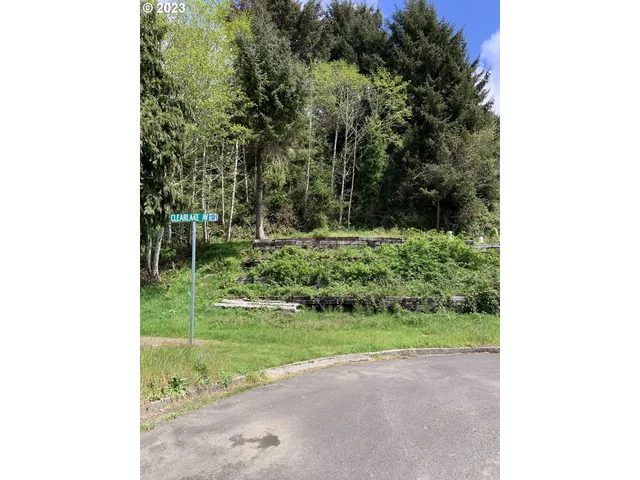 a view of a garden with a plants