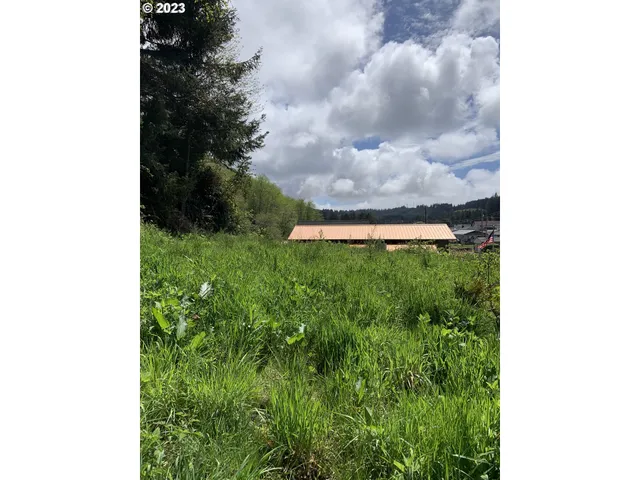 a view of a garden with a bench