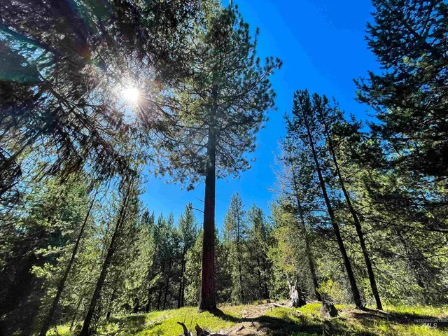 $748,230 | 1-1 Horsethief Road, Cascade, ID 83611