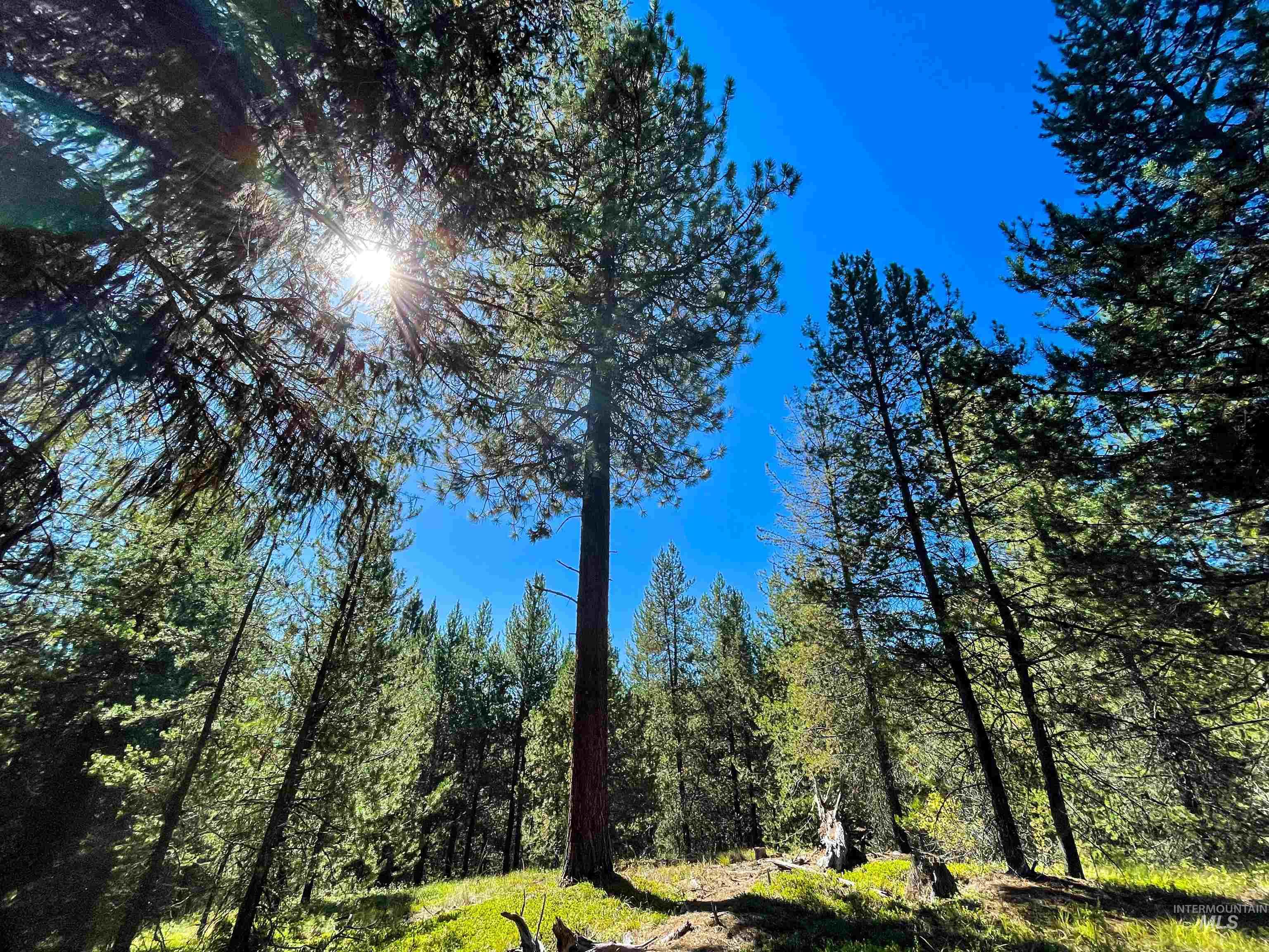 1-1 Horsethief Road Cascade, ID 83611 - Photo 2 of 13