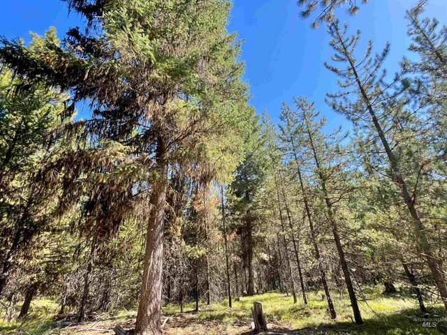 $748,230 | 1-1 Horsethief Road, Cascade, ID 83611