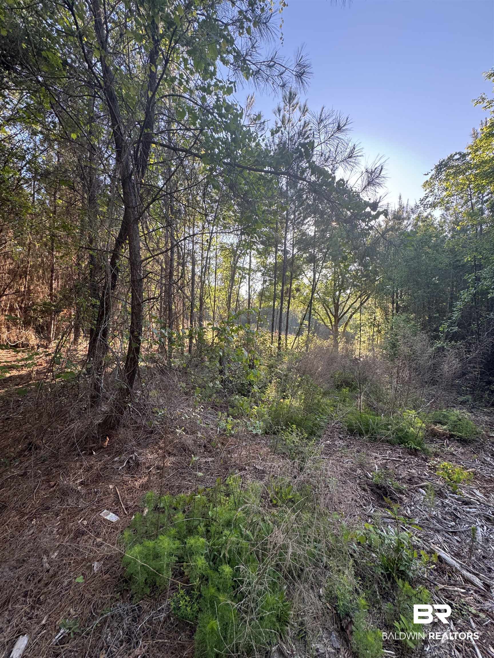 Partically Cleared Lot