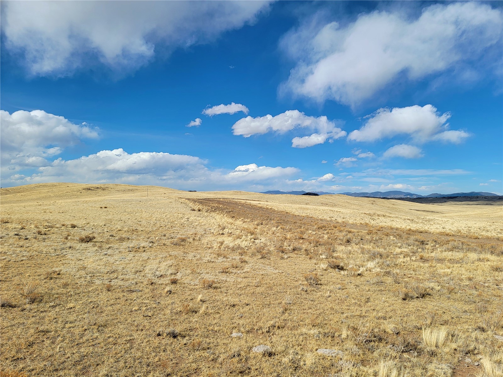 3999 Delaware Road Hartsel, CO 80449 - Photo 5 of 23 View of undeveloped land featuring rural landscape and a mountain backdrop
