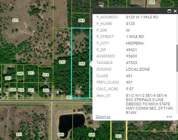 8125 West 1 Mile Road Hesperia, MI 49421 - Photo 21 of 21 8125W1Mile-GISmap