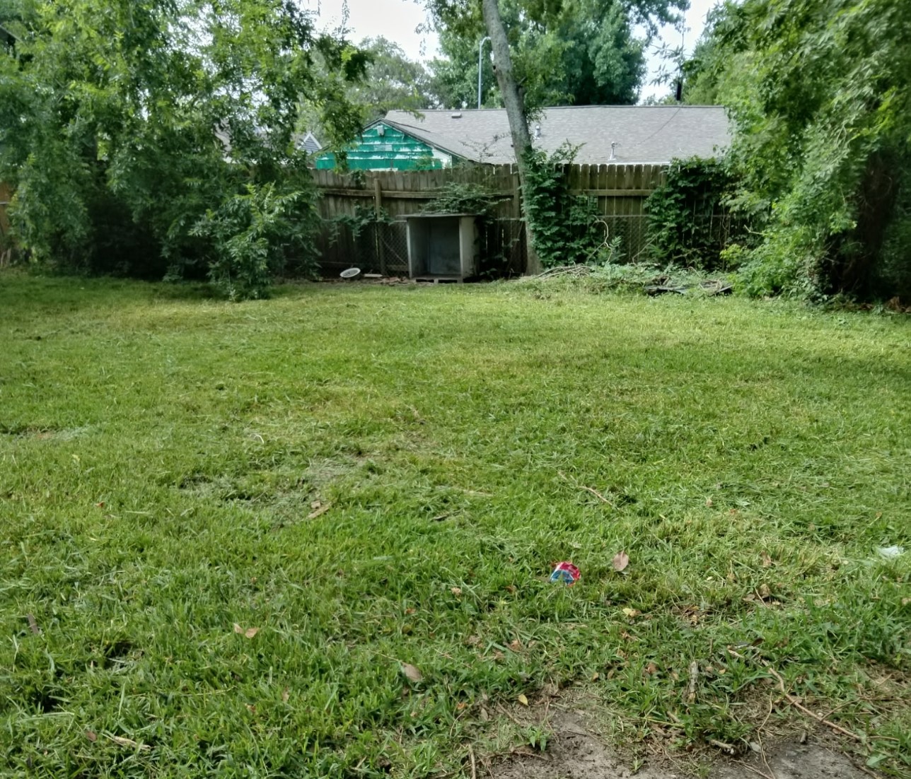4730 Angleton Street Houston, TX 77033 - Photo 15 of 16
Step outside to a spacious backyard—ideal for relaxing, gardening, or hosting gatherings.