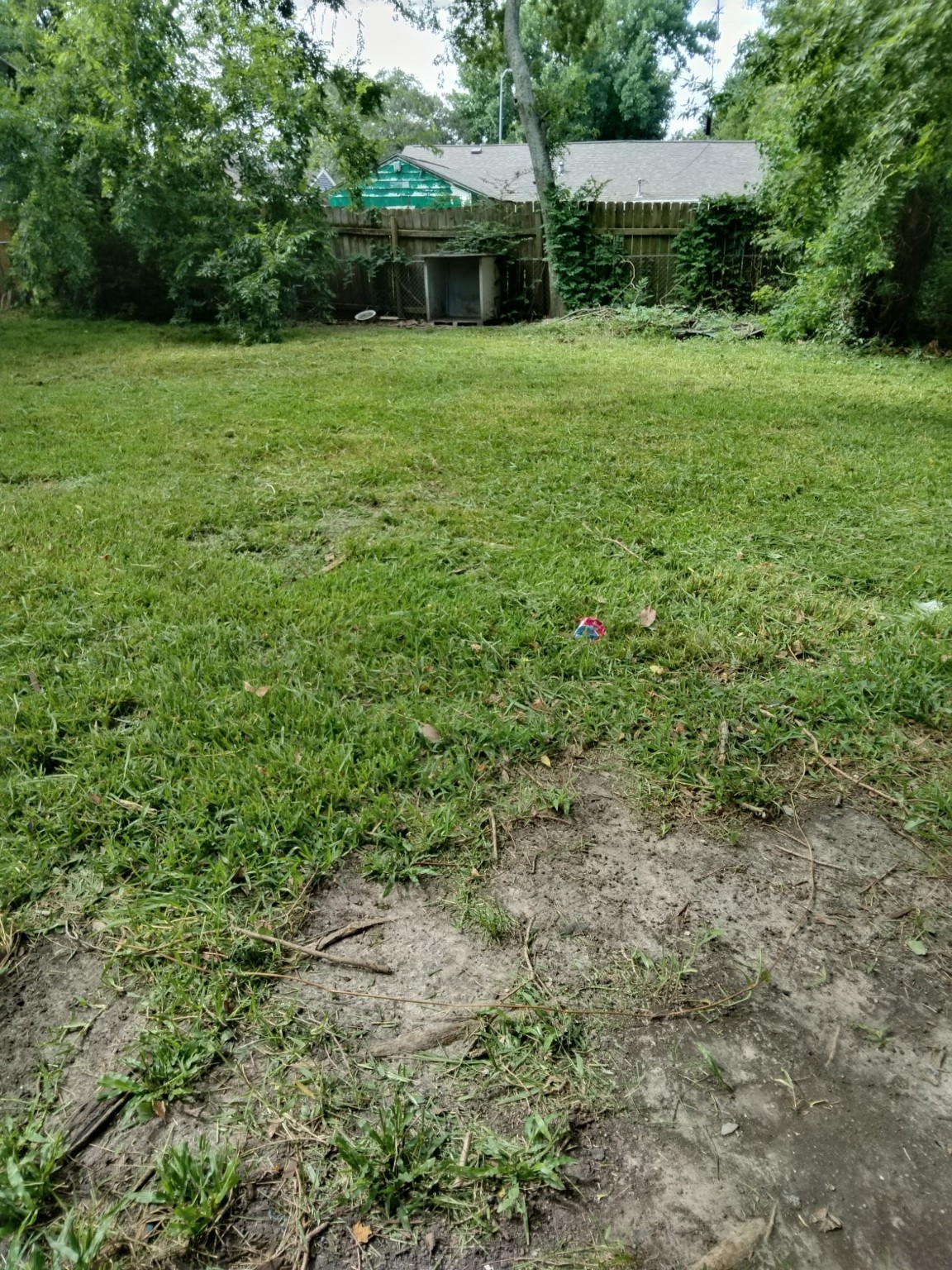 4730 Angleton Street Houston, TX 77033 - Photo 16 of 16
Step outside to a spacious backyard—ideal for relaxing, gardening, or hosting gatherings.