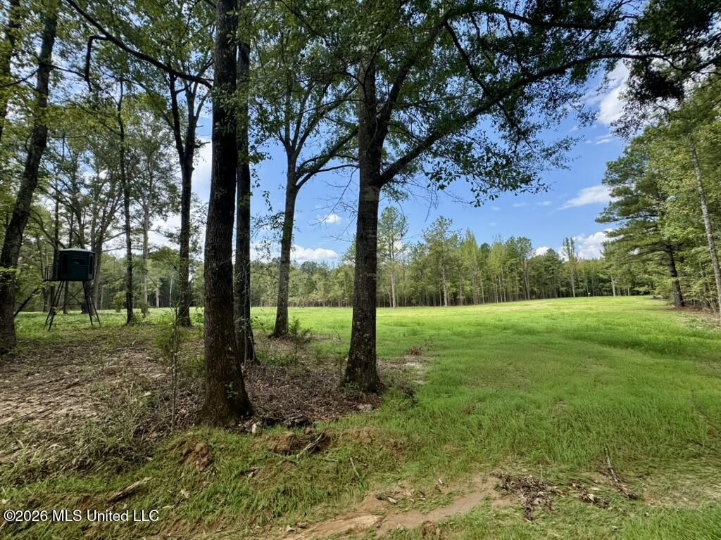 1 Chapel Hill Road Utica, MS 39175 - Photo 35 of 107 50949350-CC8C-4DD4-8522-31A0311D2166_1_1