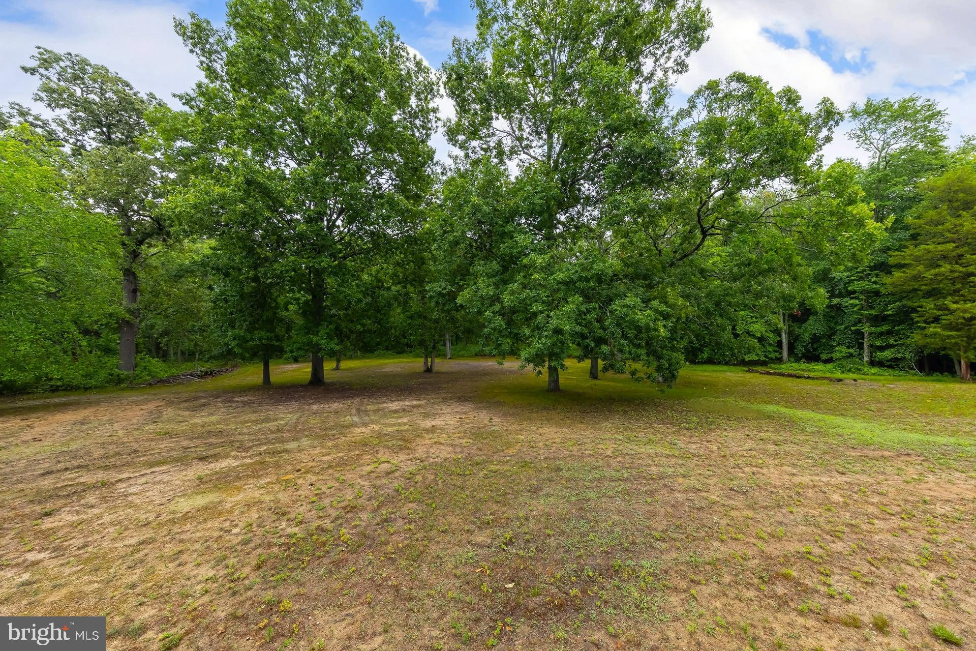 1010 Willow Grove Road Pittsgrove, NJ 08318 - Photo 22 of 22 Plenty of trees