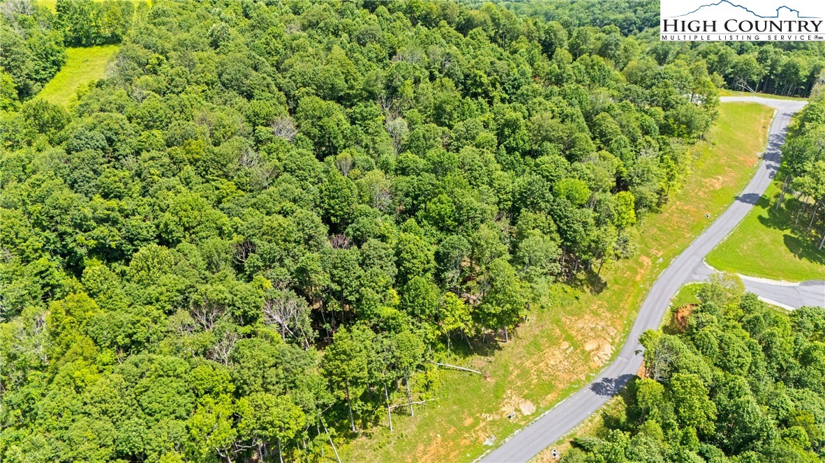 Lot 24 Poplar Forest Drive Boone, NC 28607 - Photo 12 of 15 a view of a large garden with a small yard