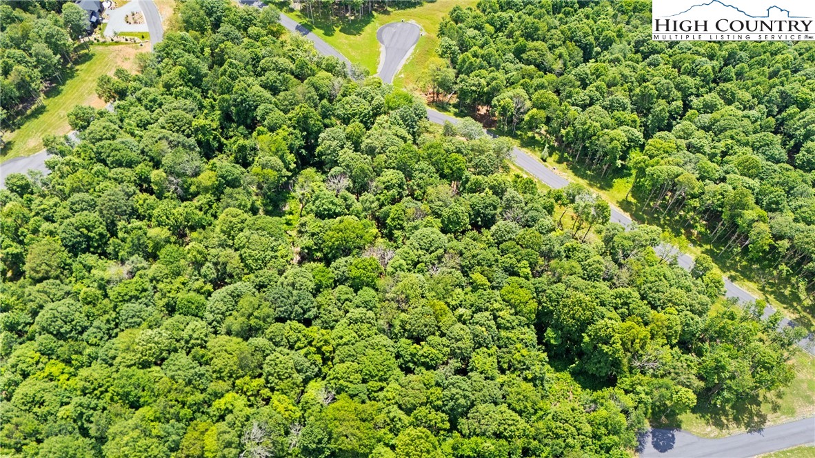 Lot 24 Poplar Forest Drive Boone, NC 28607 - Photo 15 of 15 a view of a lush green forest