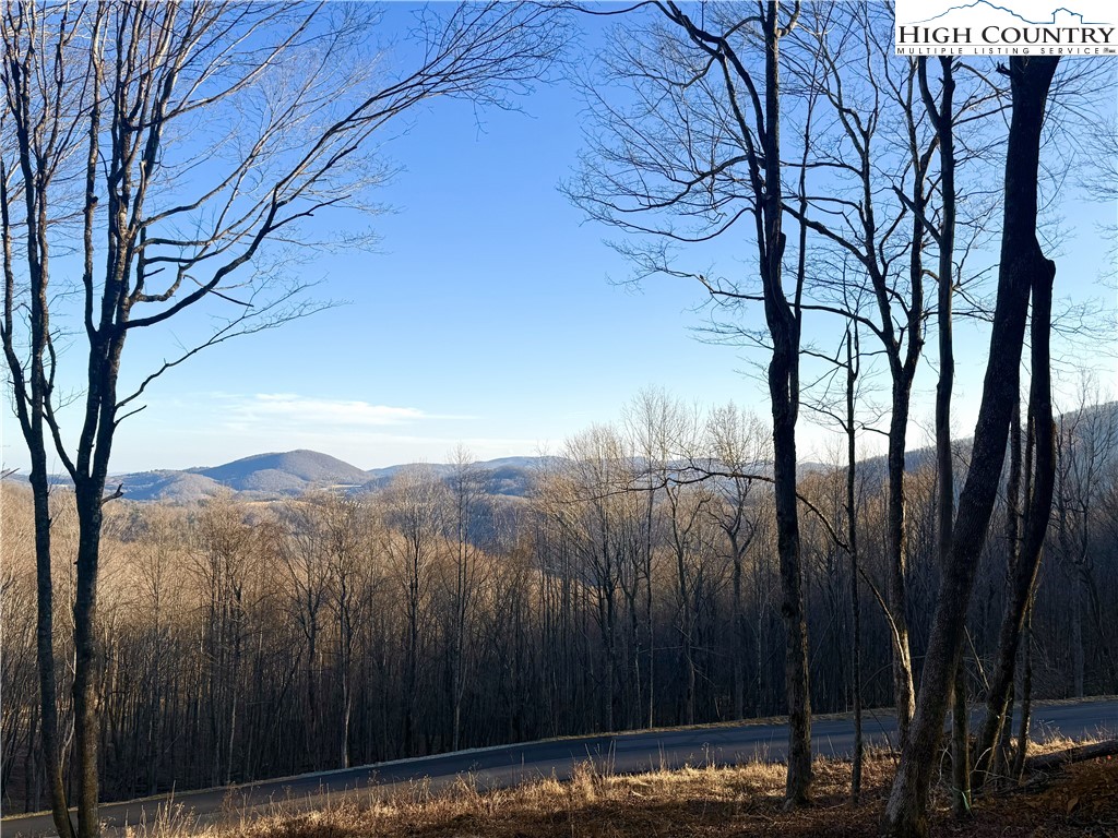 Lot 24 Poplar Forest Drive Boone, NC 28607 - Photo 2 of 15 a view of a yard with a tree