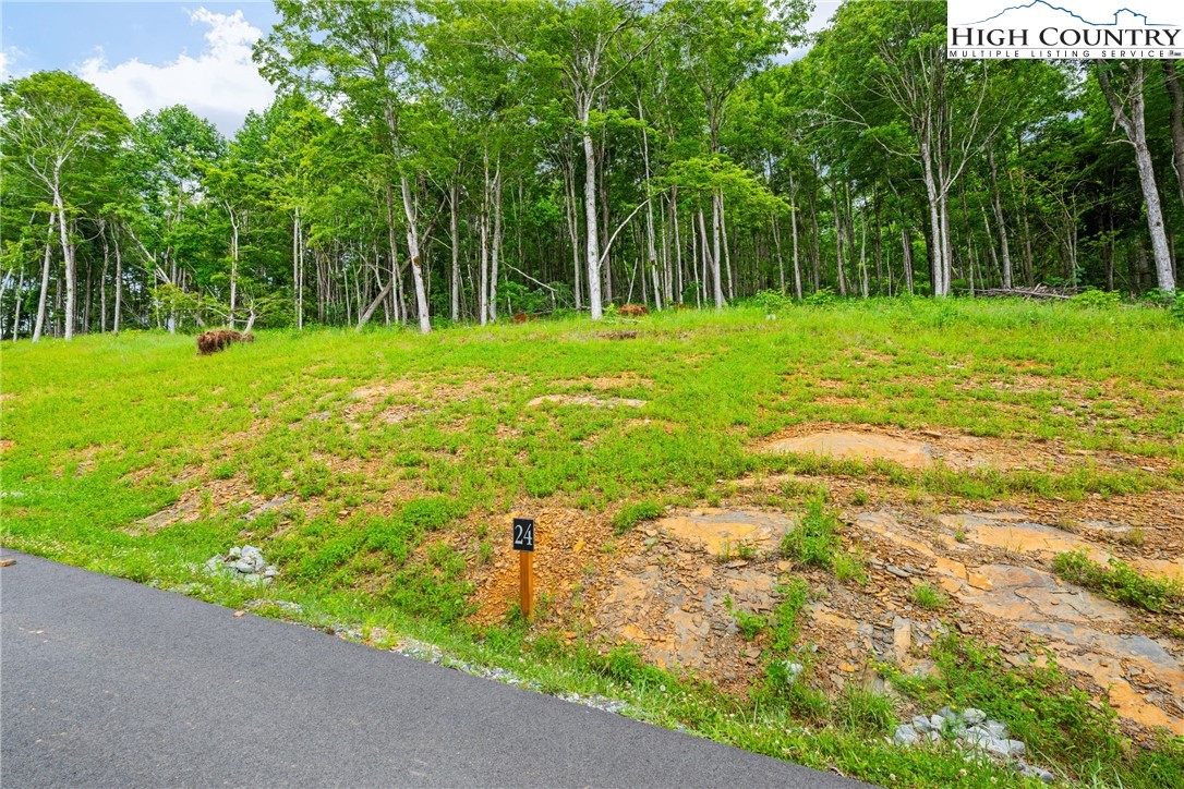 Lot 24 Poplar Forest Drive Boone, NC 28607 - Photo 5 of 15 a backyard of a house with lots of green space