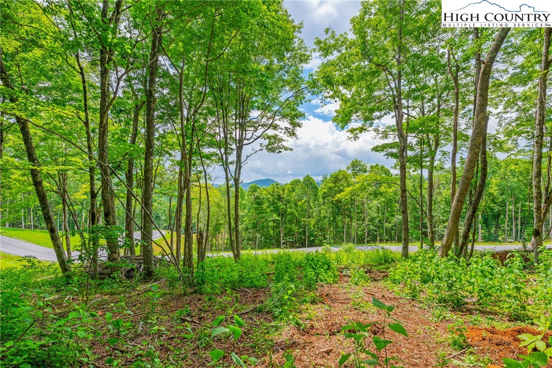 Lot 24 Poplar Forest Drive Boone, NC 28607 - Photo 6 of 15 a view of a garden