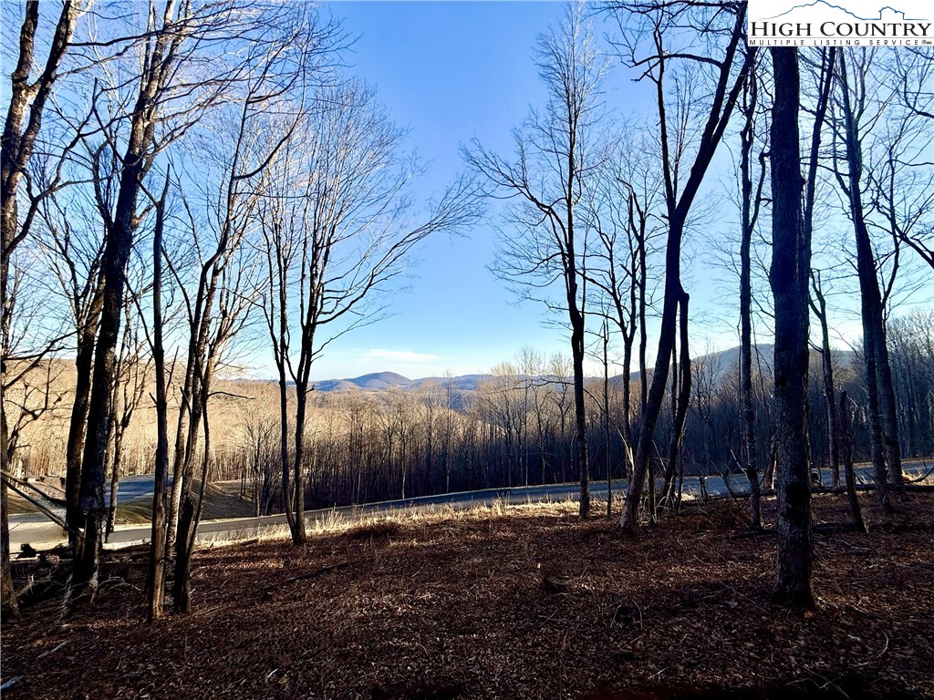 Lot 24 Poplar Forest Drive Boone, NC 28607 - Photo 7 of 15 a backyard of a house with lots of green space