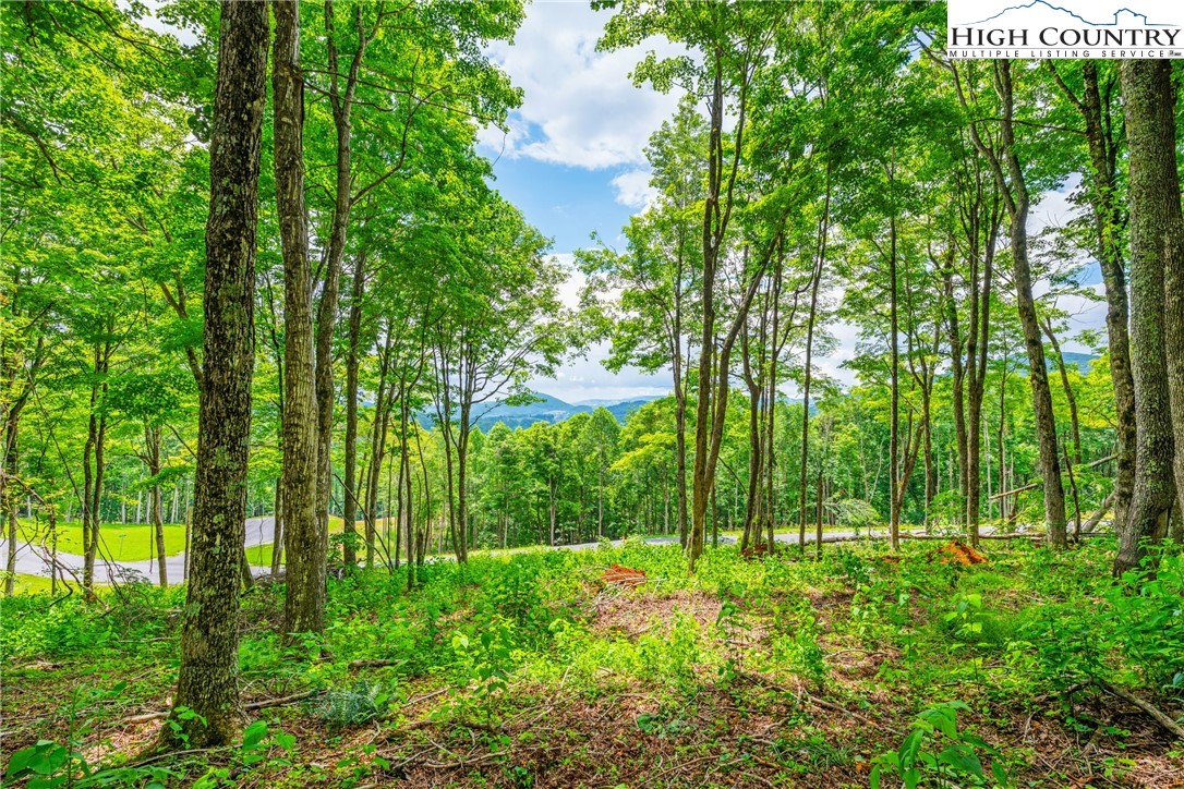 Lot 24 Poplar Forest Drive Boone, NC 28607 - Photo 8 of 15 a view of outdoor space and yard