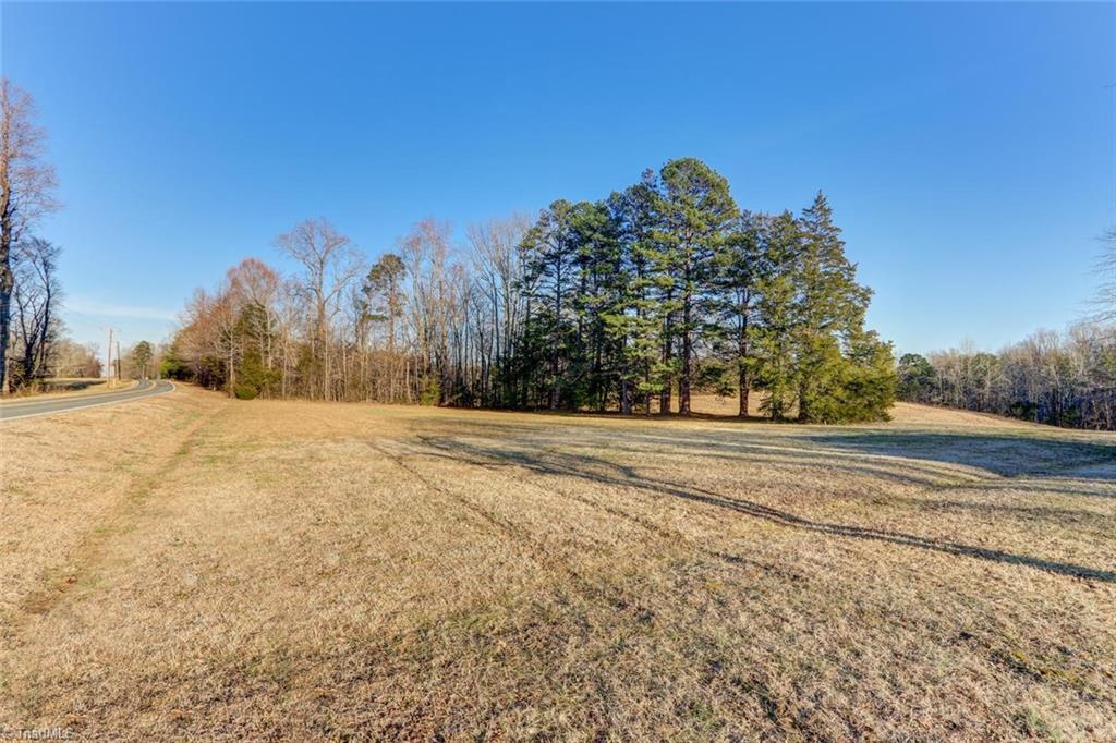 3668 Blanch Road Blanch, NC 27212 - Photo 3 of 30 Gallery Image 3